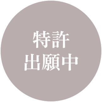 特許出願中